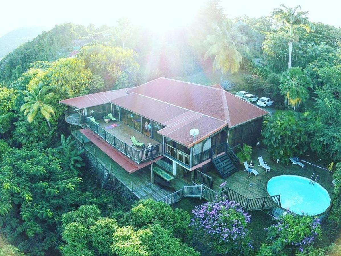 Villa Du Jardin Botanique, Ex. Propriete Coluche Deshaies Exteriör bild