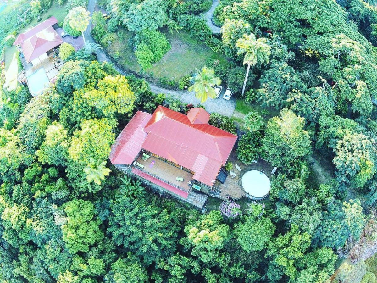 Villa Du Jardin Botanique, Ex. Propriete Coluche Deshaies Exteriör bild