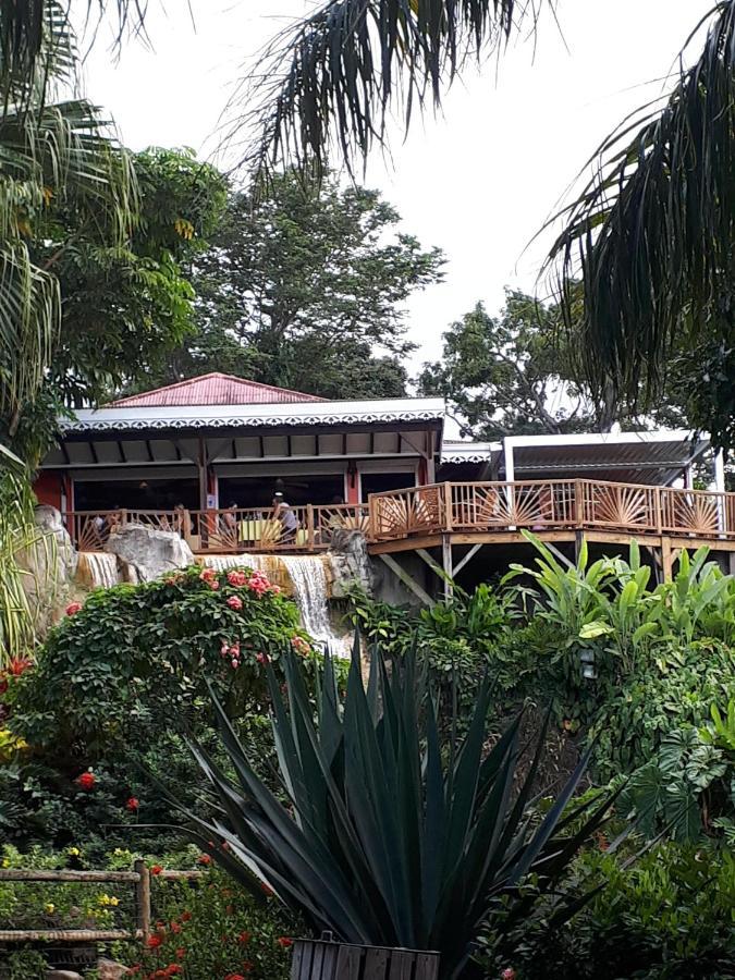 Villa Du Jardin Botanique, Ex. Propriete Coluche Deshaies Exteriör bild