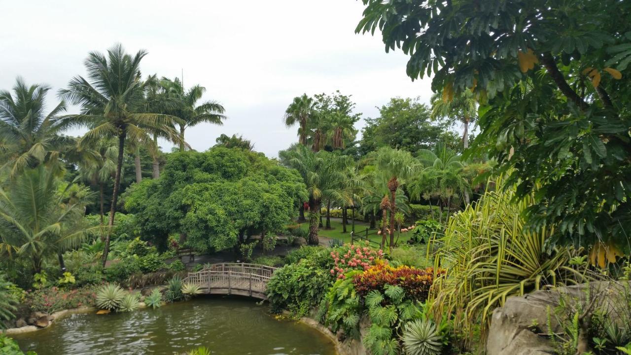 Villa Du Jardin Botanique, Ex. Propriete Coluche Deshaies Exteriör bild