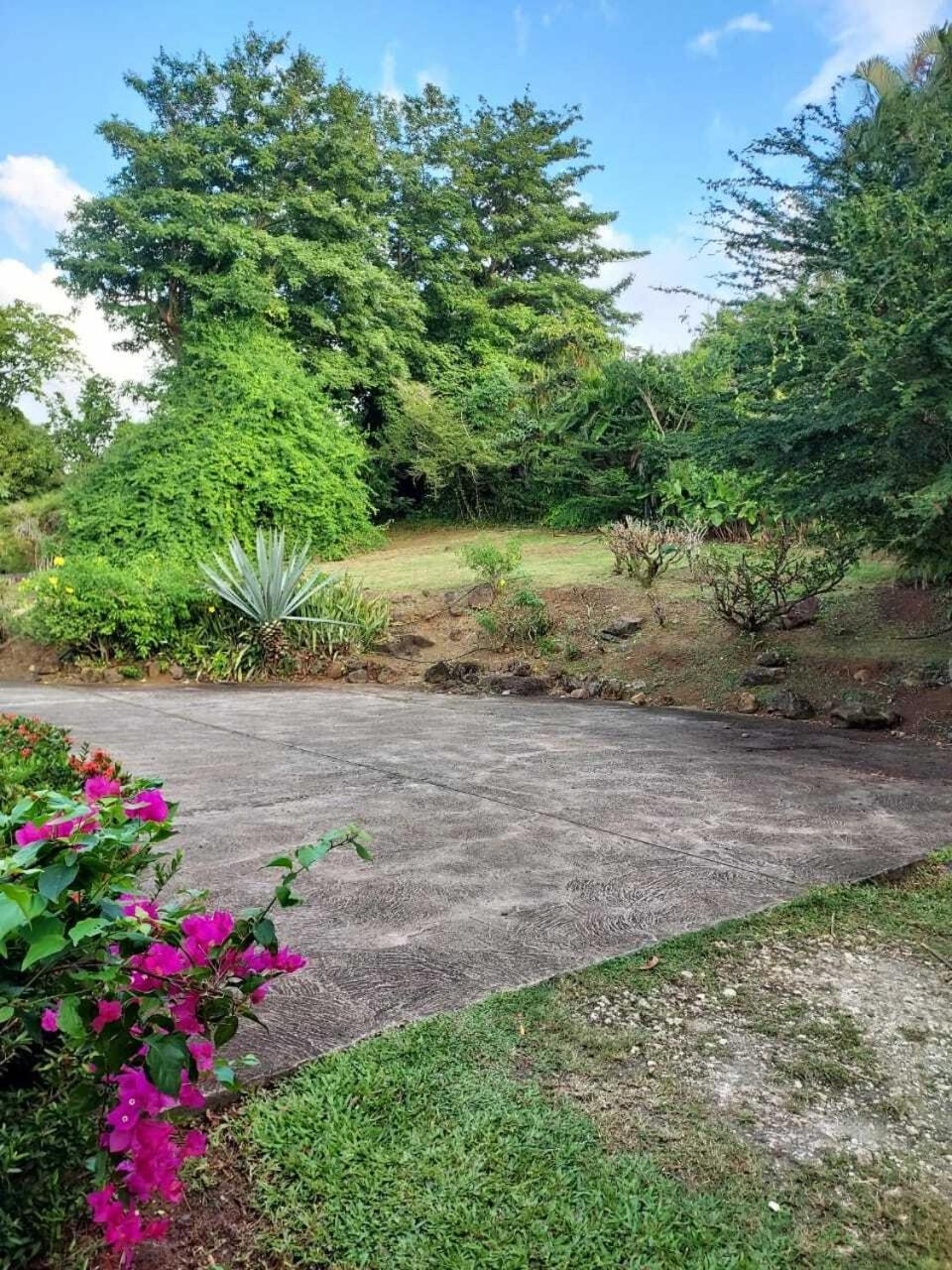 Villa Du Jardin Botanique, Ex. Propriete Coluche Deshaies Exteriör bild